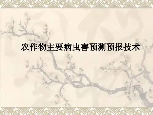 农作物主要病虫害测报技术培训课件