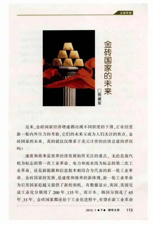 金砖国家的未来
