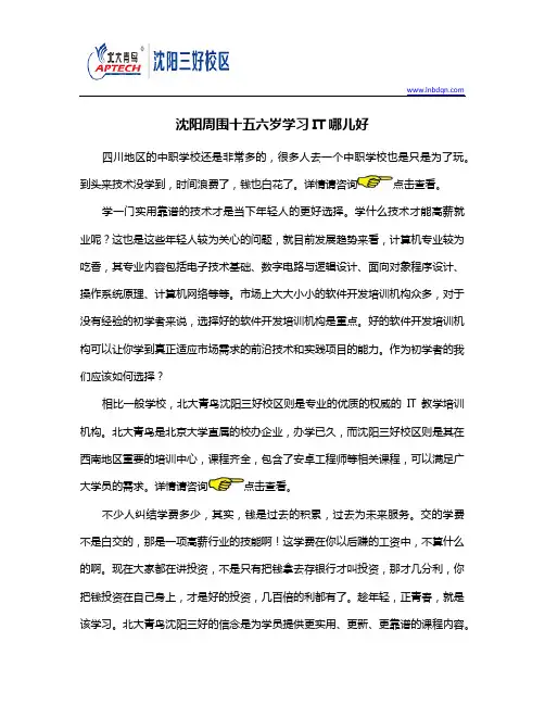 沈阳周围十五六岁学习IT哪儿好