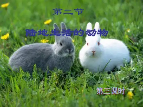 陆地生活的动物3