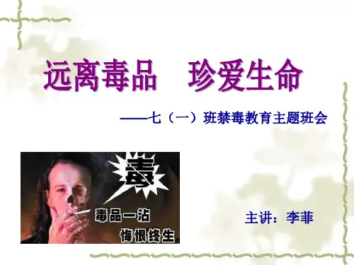 5.参与禁毒宣传活动