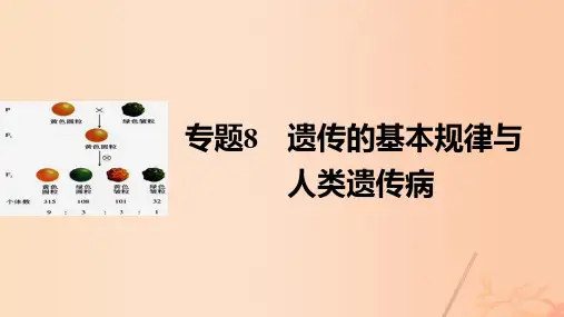 (通用版)高考生物大二轮专题复习与增分策略专题8遗传的基本规律与人类遗传病课件