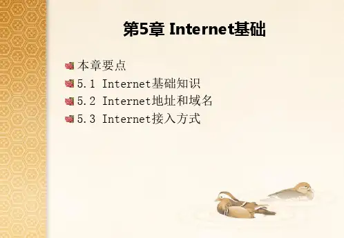 Internet基础