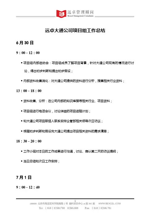 9-大通公司项目组工作总结