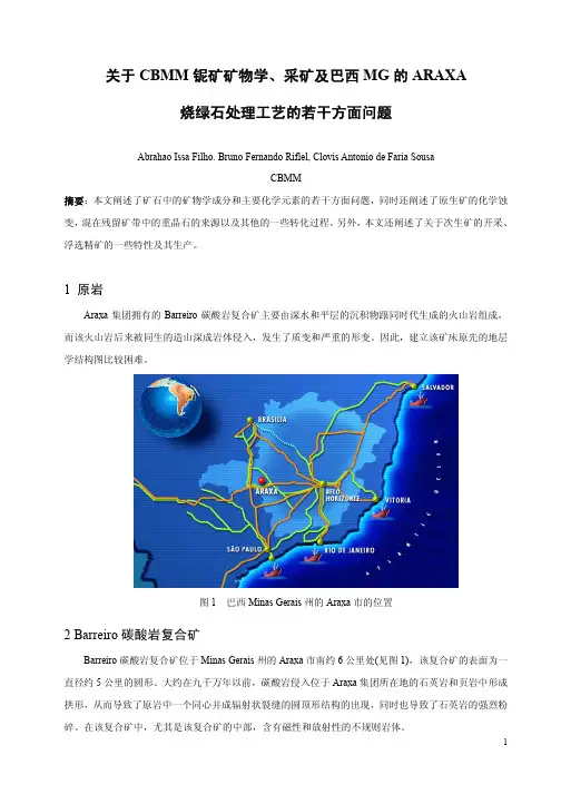 03关于CBMM铌矿矿物学、采矿及巴西MG的ARAXA 烧绿石处理工艺的若干方面问题