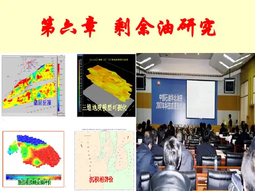 剩余油概念与检测方法