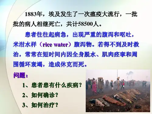 霍乱弧菌ppt参考课件