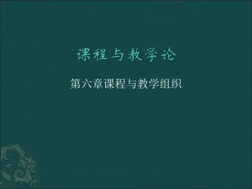 课程与教学论第六章