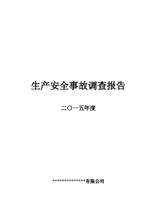 生产安全事故调查报告