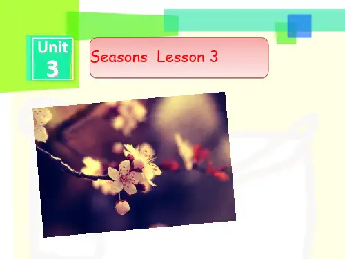 二年级下册英语课件-Unit 3 Seasons Lesson 3 人教(新起点) (共17张PPT