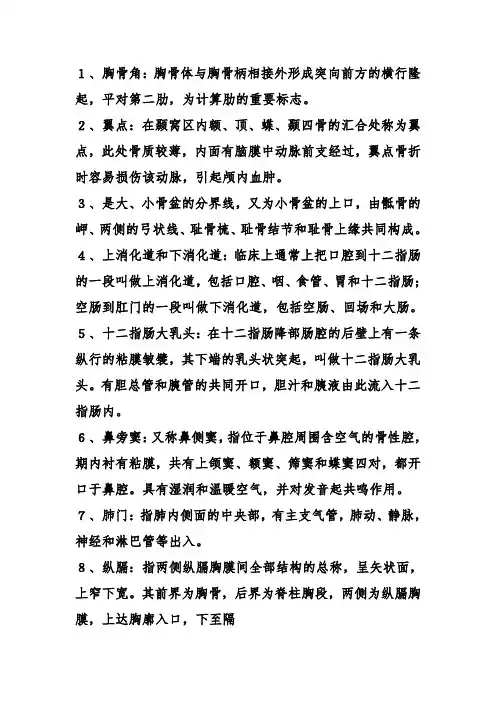 解剖学名词解释