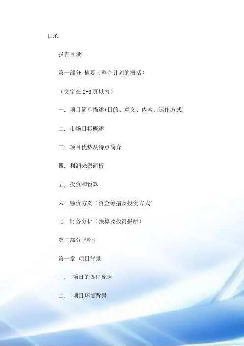 网站类项目商业计划书