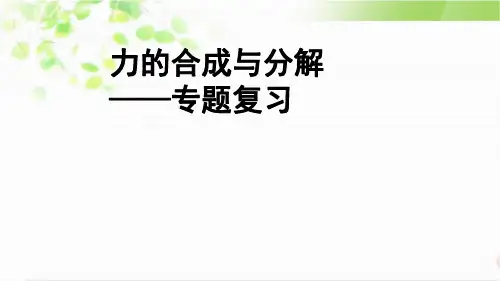 鲁科版高中物理必修一力的分解与合成专题