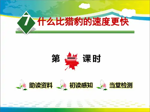 《什么比猎豹的速度更快》ppt课件【完美版课件】