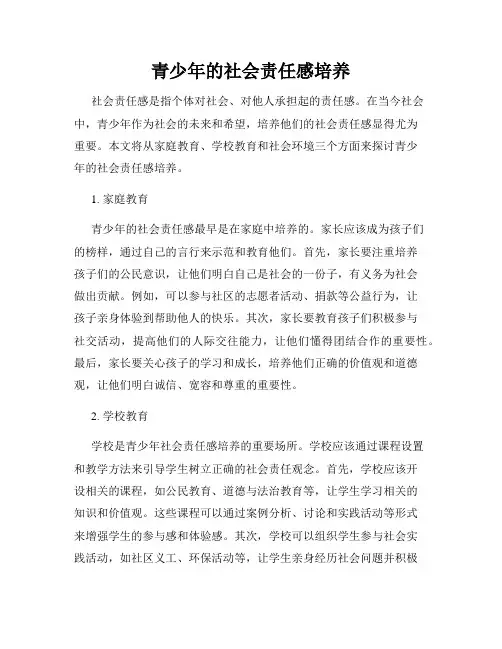 青少年的社会责任感培养