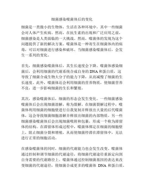 细菌感染噬菌体后的变化