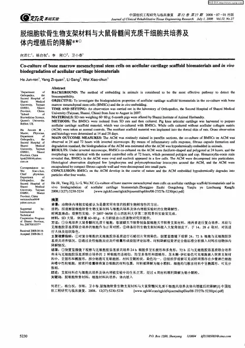 脱细胞软骨生物支架材料与大鼠骨髓间充质干细胞共培养及体内埋植后的降解