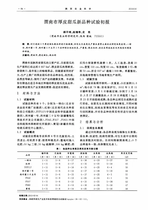 渭南市厚皮甜瓜新品种试验初报