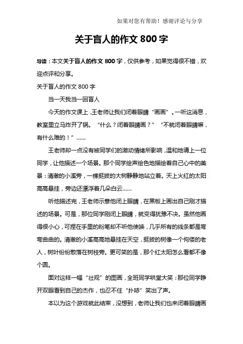关于盲人的作文800字