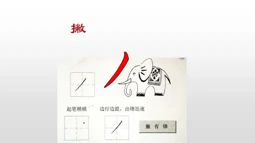 一年级硬笔书法课件-入门班教学课件撇全国通用共34张PPT