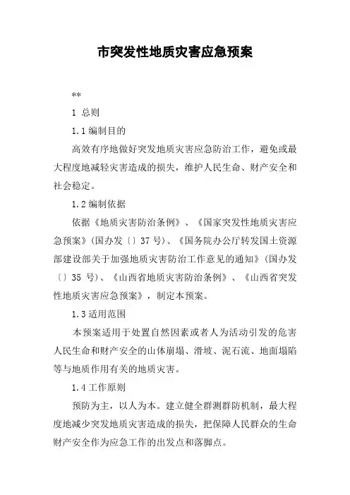 市突发性地质灾害应急预案