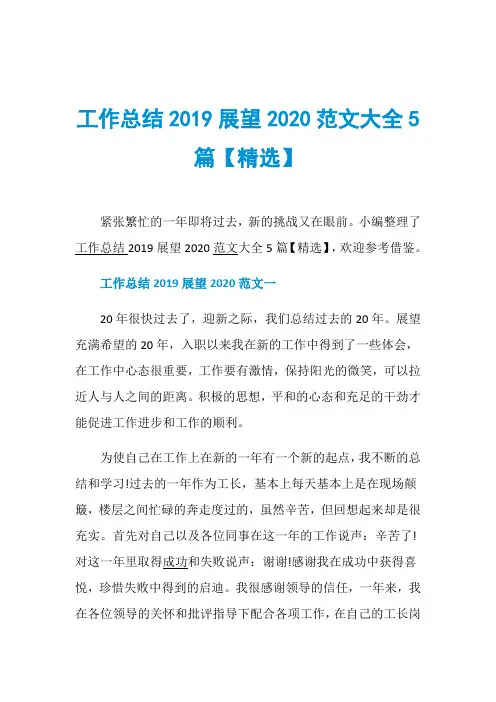 工作总结2019展望2020范文大全5篇【精选】