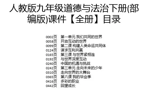 人教版九年级道德与法治下册(部编版)课件【全册】