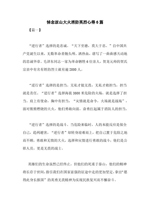 悼念凉山大火消防英烈心得6篇