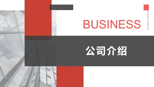 如何介绍一个科技项目PPT