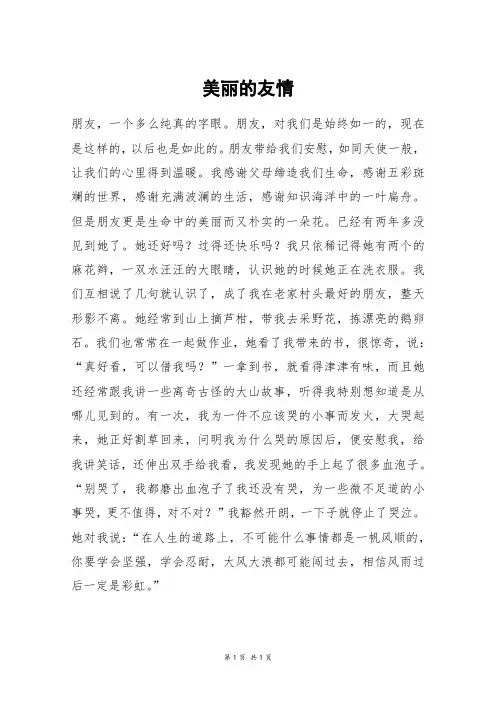 美丽的友情_初三作文