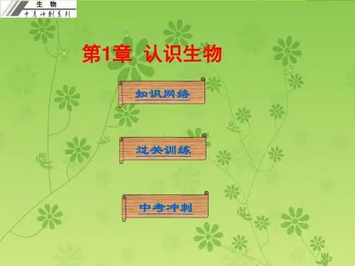 【中考冲刺】广东省中山市人教版2016年初中生物中考基础梳理复习课件  第1章  认识生物(共25张PPT)