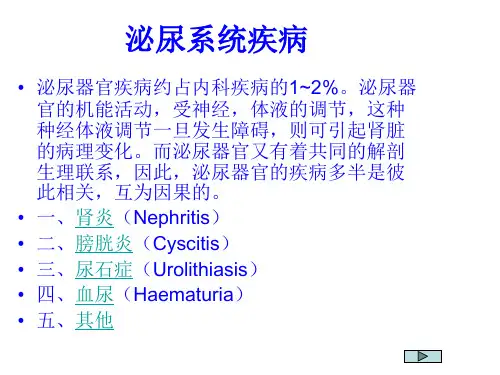 家畜泌尿系统疾病