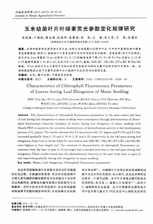 玉米幼苗叶片叶绿素荧光参数变化规律研究