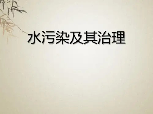 水污染及其防治-资源保护与环境危机精品PPT