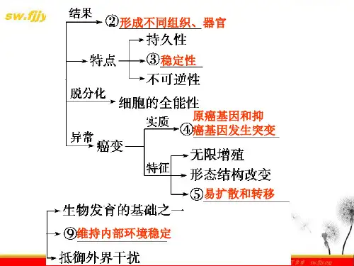 生物二轮专题复习知识专题学案细胞的分化衰老凋亡和癌变精品PPT课件