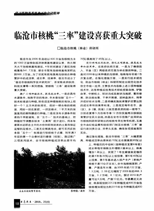 临沧市核桃“三率”建设喜获重大突破