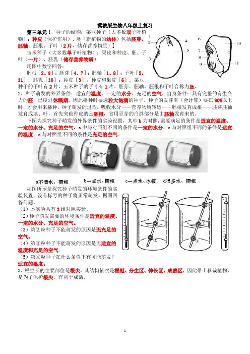 冀教版生物八年级上复习