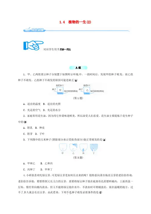 七年级科学下册 1.4 植物的一生(2)同步练习 (新版)浙教版