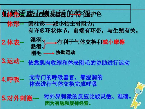 江苏省铜山区七年级生物下册13.2土壤里的微生物课件(新版)苏科版