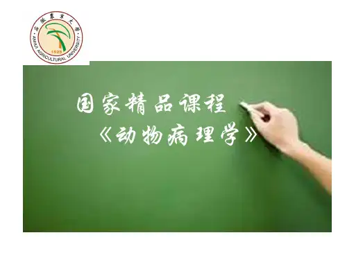 萎缩、变性及坏死