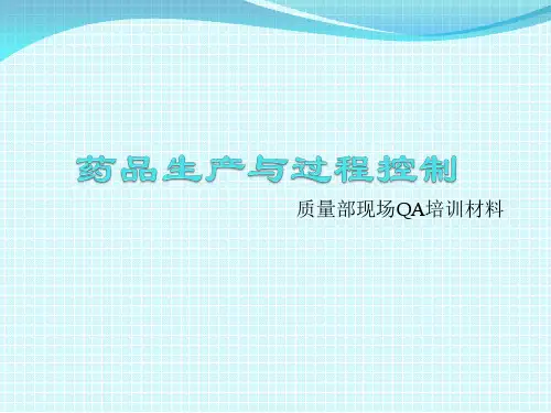 药品生产与过程控制