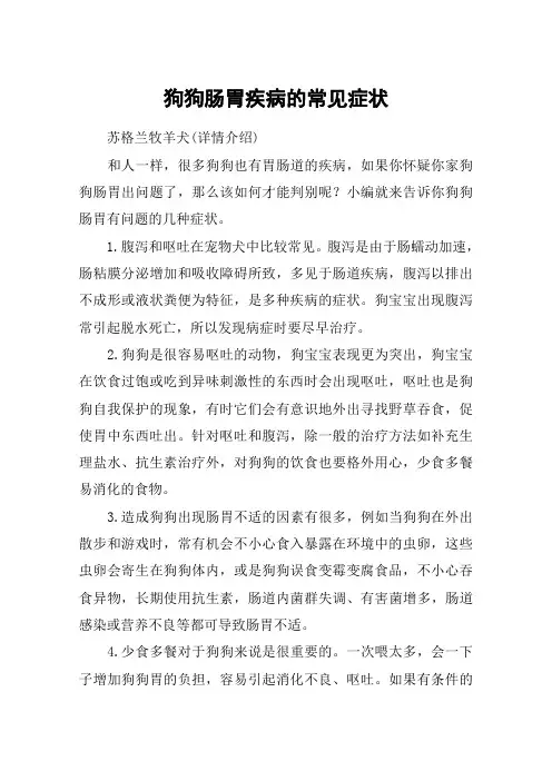 狗狗肠胃疾病的常见症状