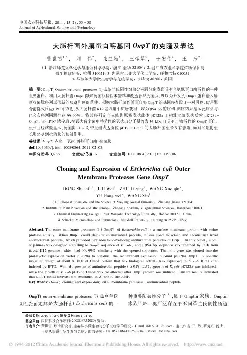 大肠杆菌外膜蛋白酶基因OmpT的克隆及表达