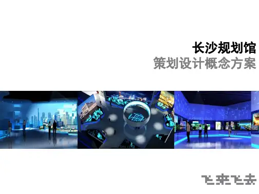 长沙市规划展览馆策划设计方案-飞来飞去