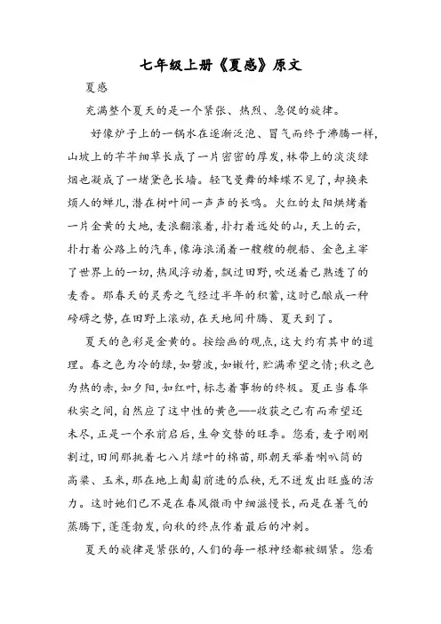 七年级上册《夏感》原文