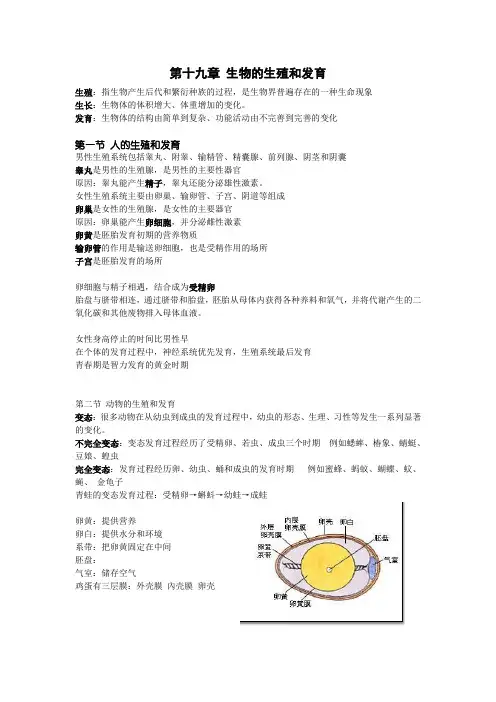 生物 八年级 期末考试上复习提纲