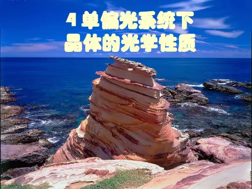 单偏光