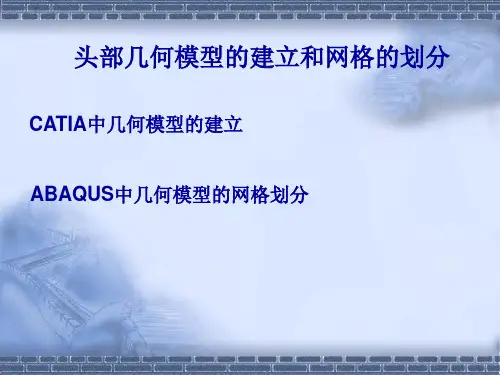 头部几何模型j建立和网格划分