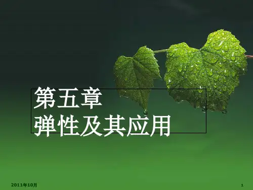 弹性及其应用PPT培训资料