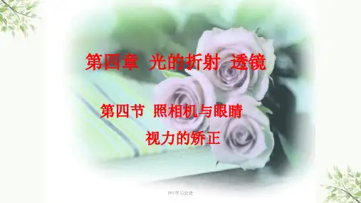 照相机与眼睛 视力的矫正(上课用)课件